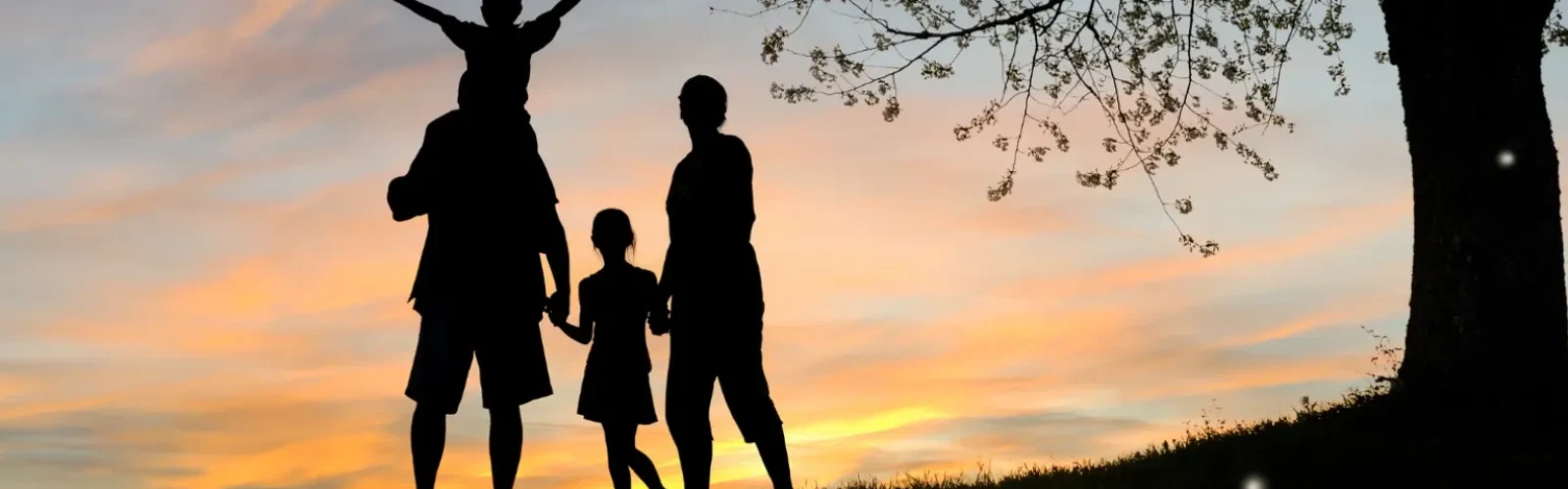 Bishop Family Vacation Guide: Adventure, Comfort & Memorable Moments
