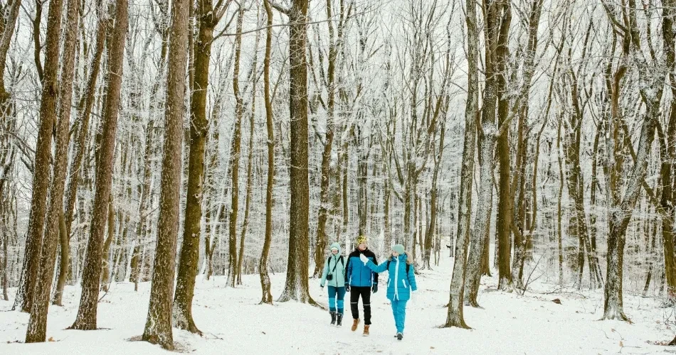 Discover Winter in Bishop, California: Snowy Escapes & Warm Retreats