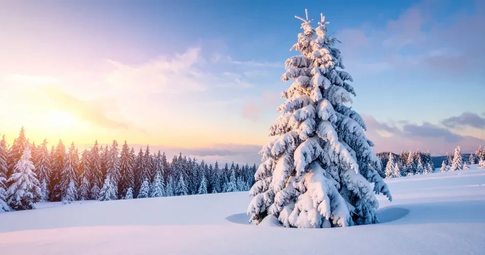 Discover Winter in Bishop, California: Snowy Escapes & Warm Retreats