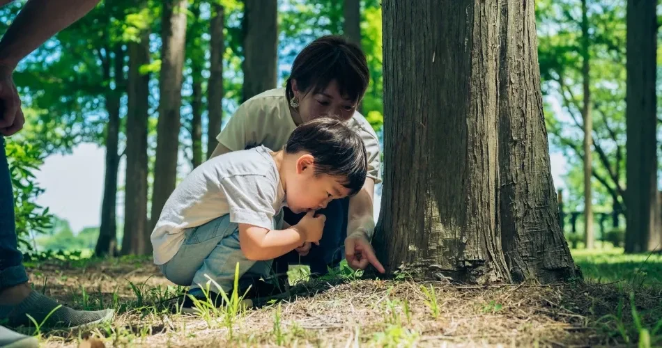 Bishop Family Vacation Guide: Adventure, Comfort & Memorable Moments